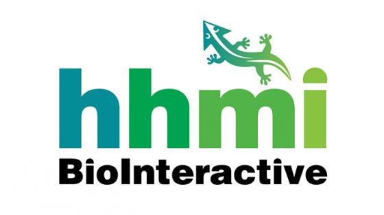 Biointeractive